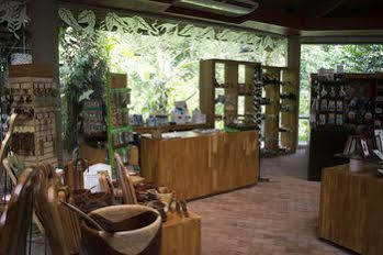 Rainforest Adventure Lodge Guápiles Exterior photo